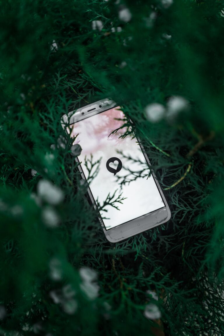 A phone in a tree with a heart on the screen representing online flirting